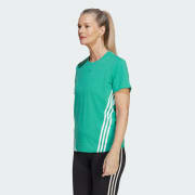 Product colour: Semi Court Green / White