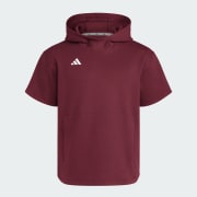 Adidas Unisex Adult Dugout Short Sleeve Baseball Hoodie Team Maroon Xs
