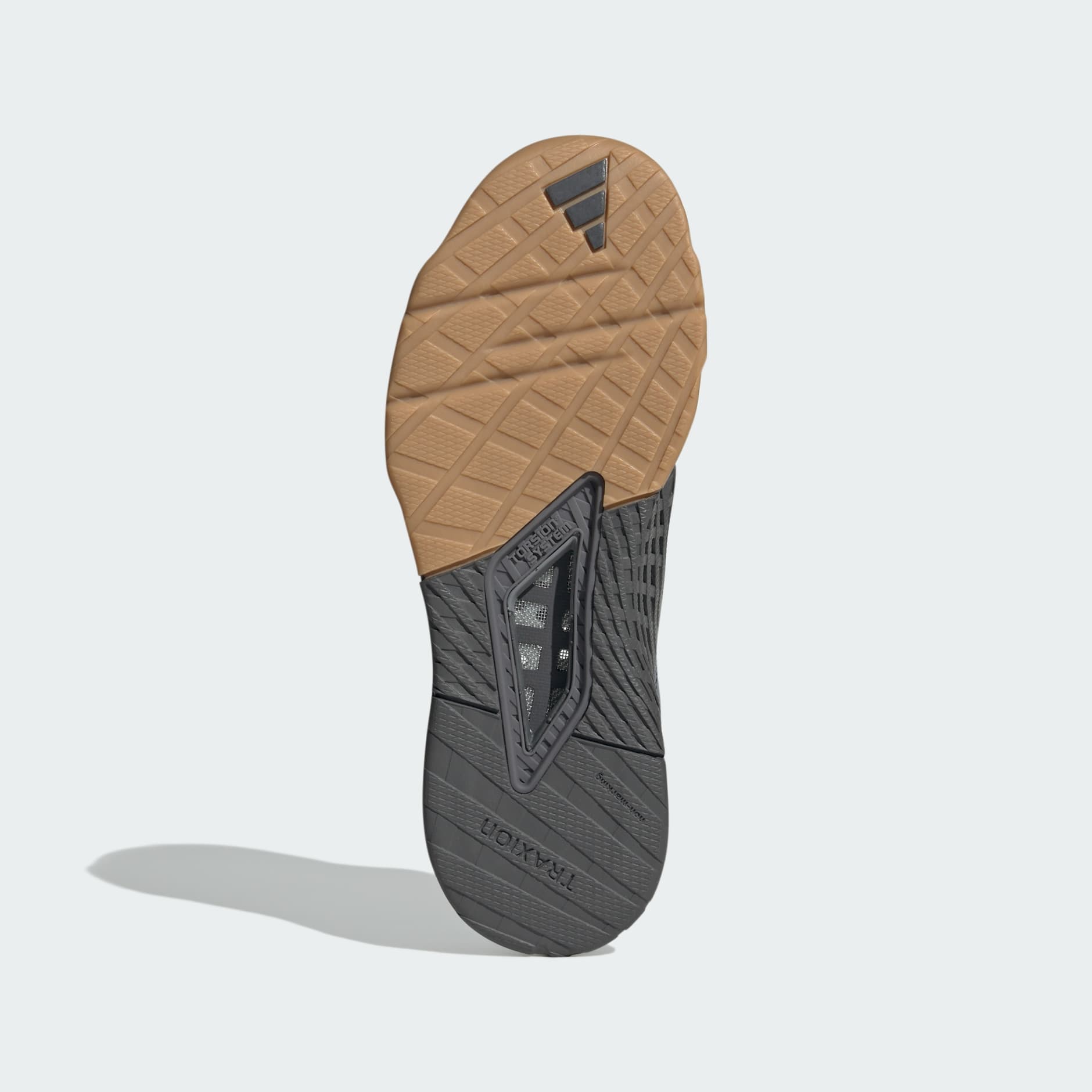 Dropset 3 strength training shoes