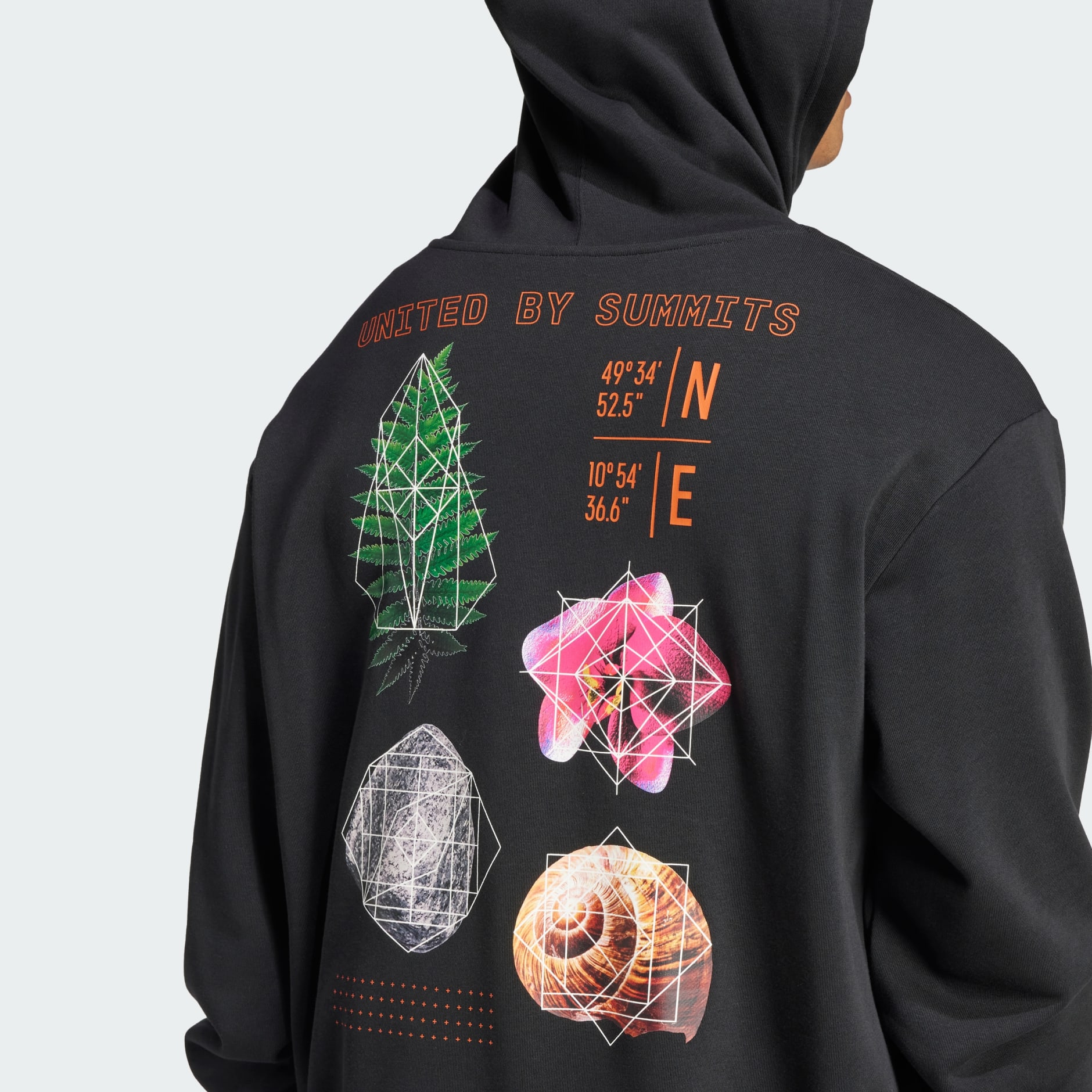 Terrex Back Graphic Hoodie