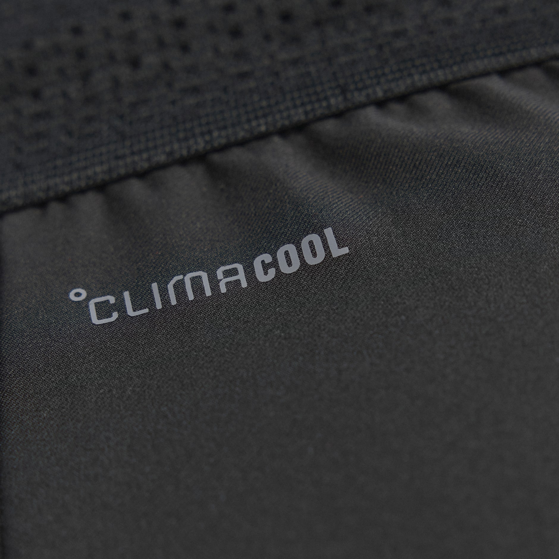 מכנסי Anthony Edwards Crazy Lite