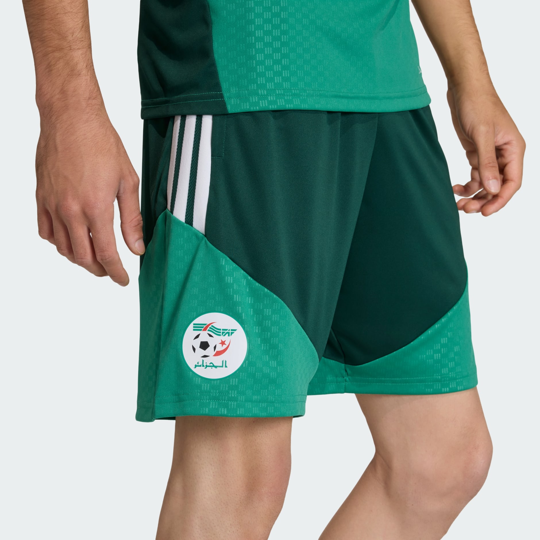 Pantaloni scurți de antrenament Algeria 26