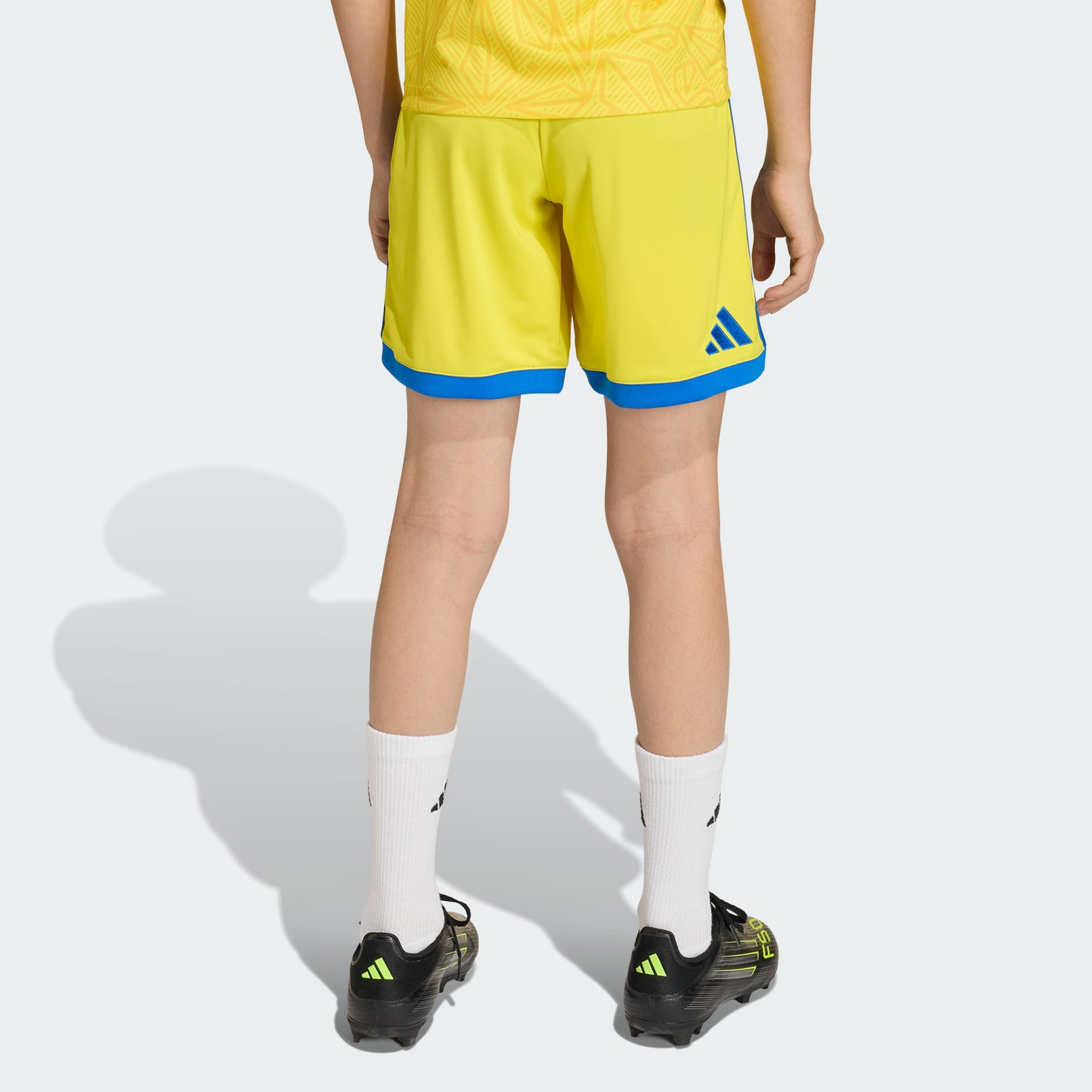 Ukraine 26 Home Kids Shorts