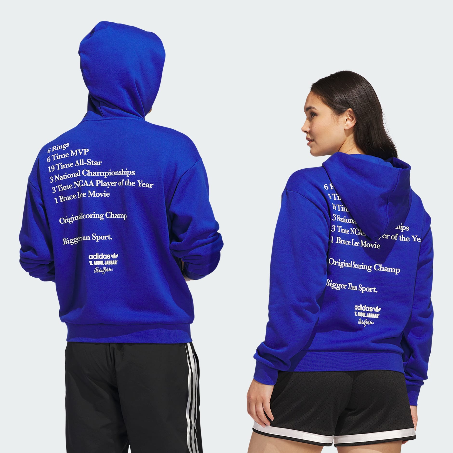 Jabbar Accolades Hoodie (Gender Neutral)