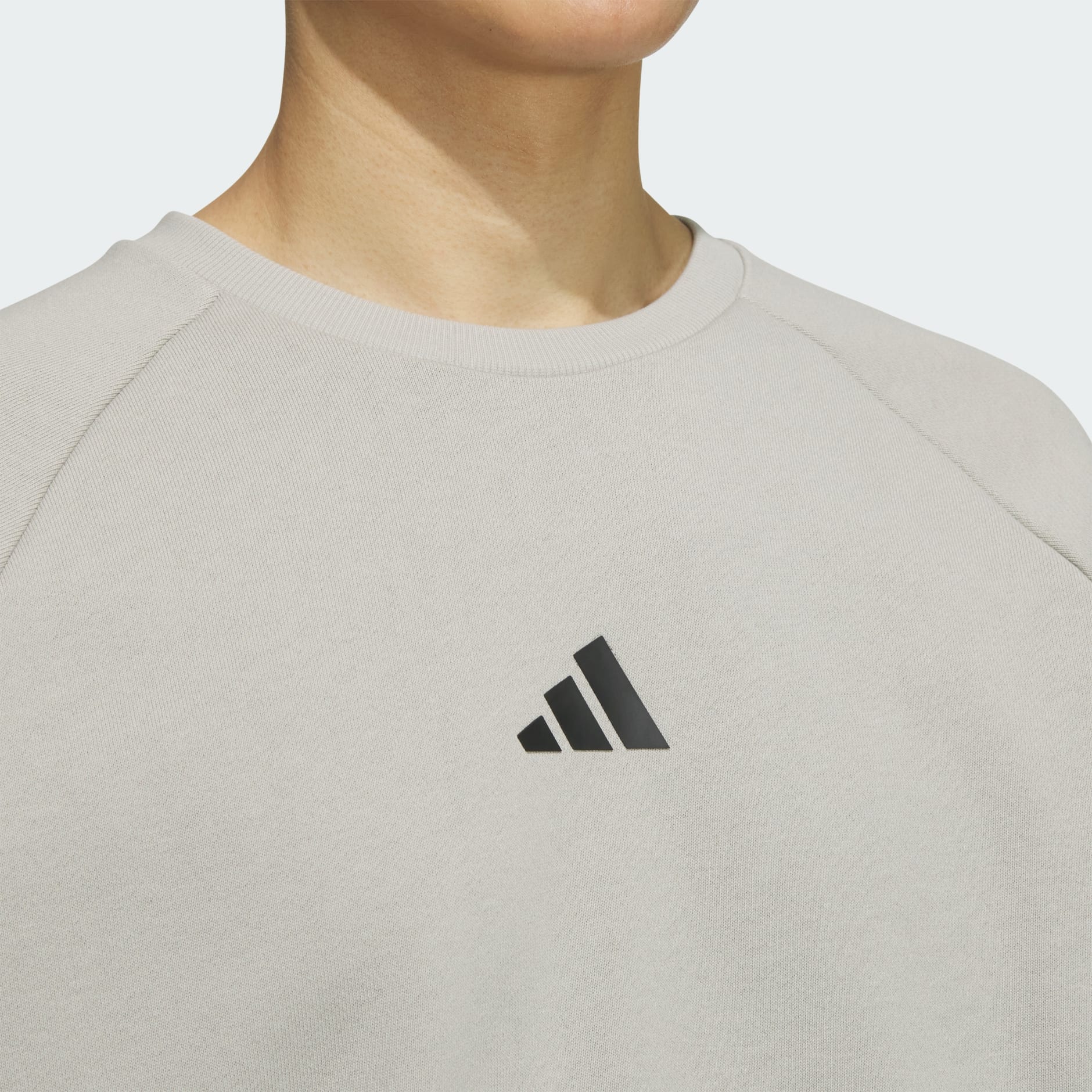 STADIUM WINTER CREW SWEATSHIRT