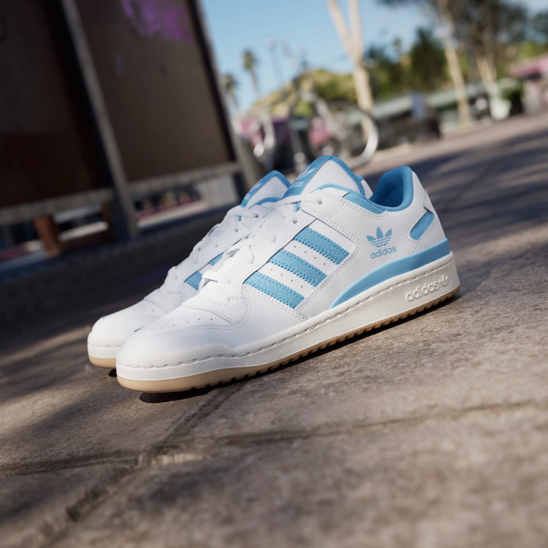 Tenis Forum Low CL