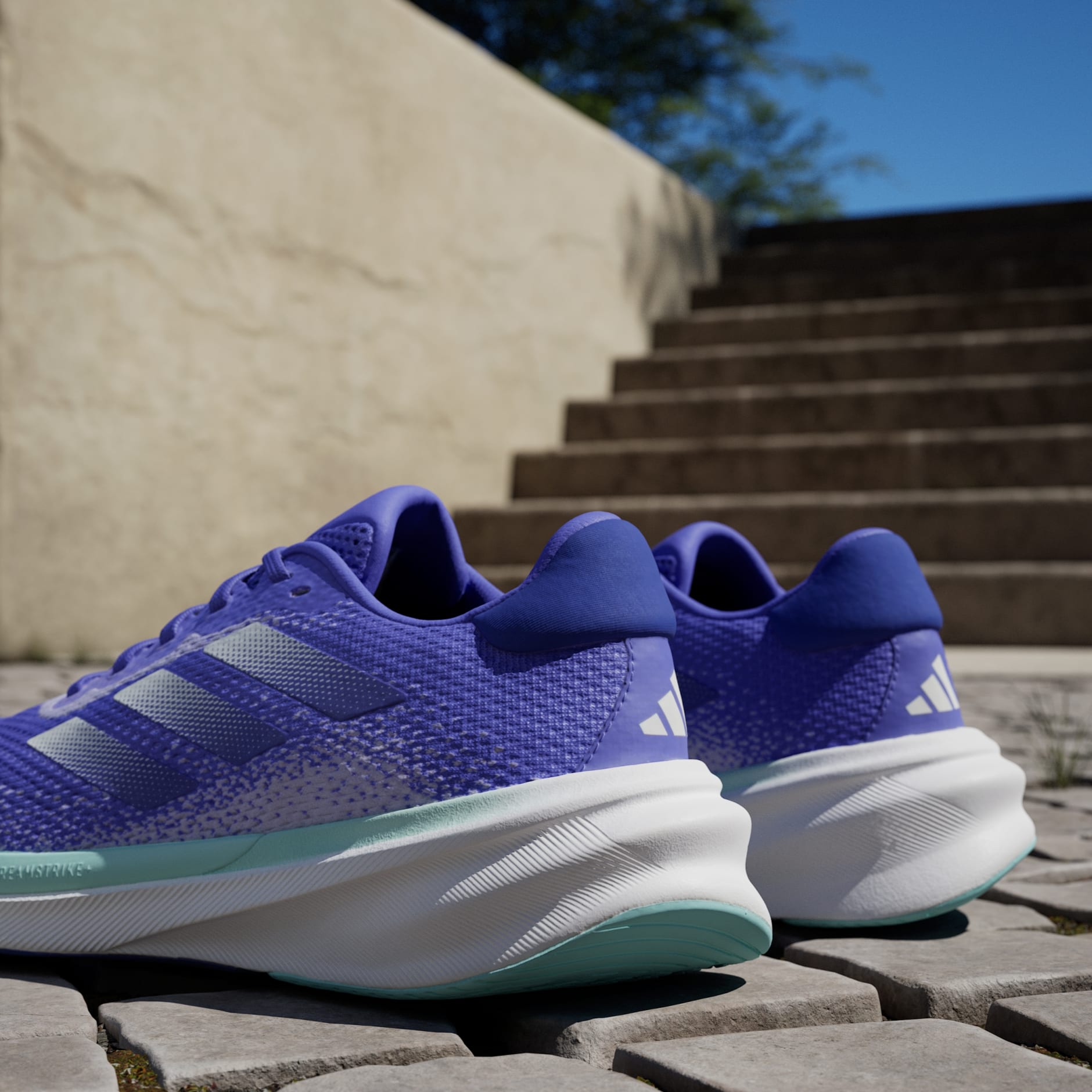 Tenis Supernova Stride