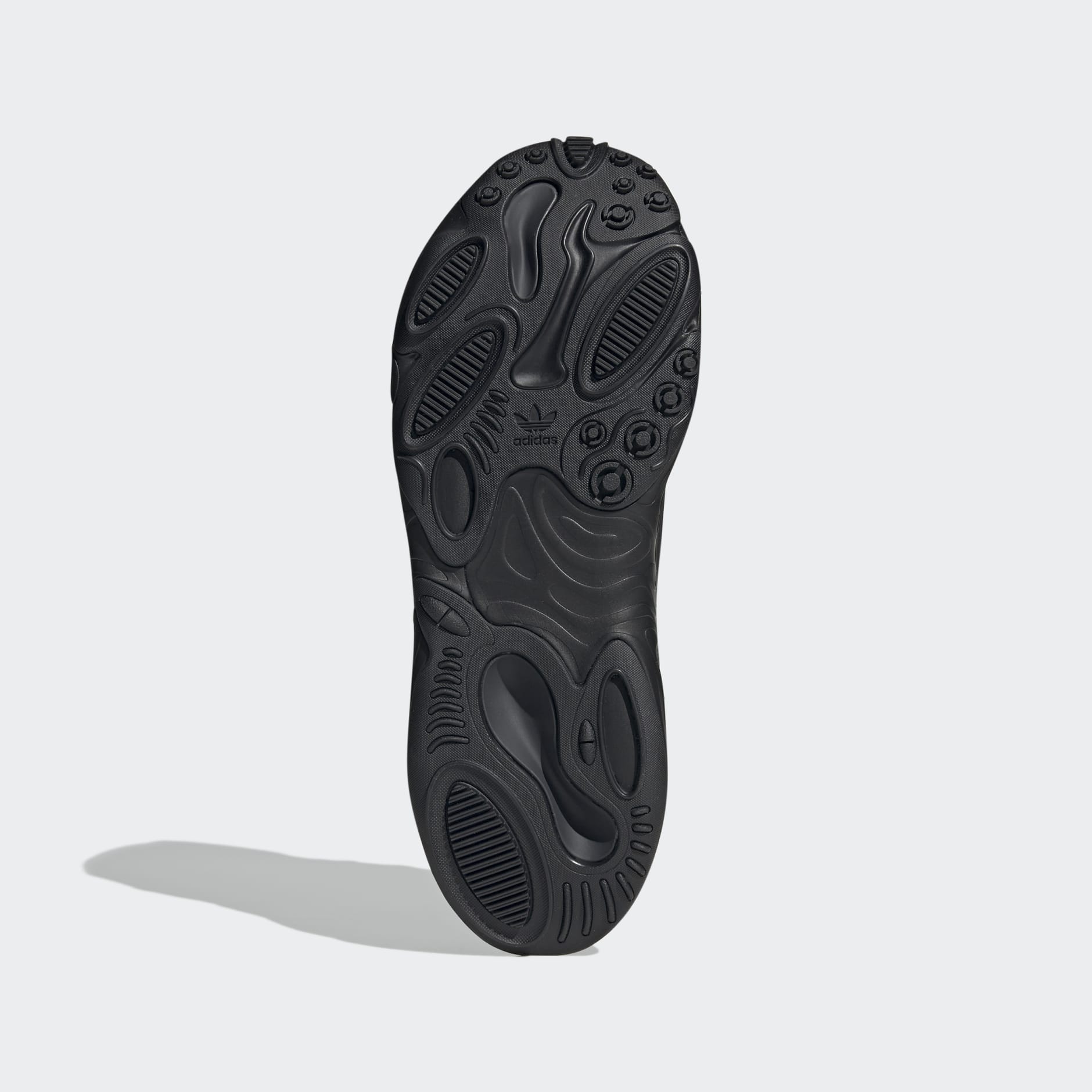 Oznova Shoes