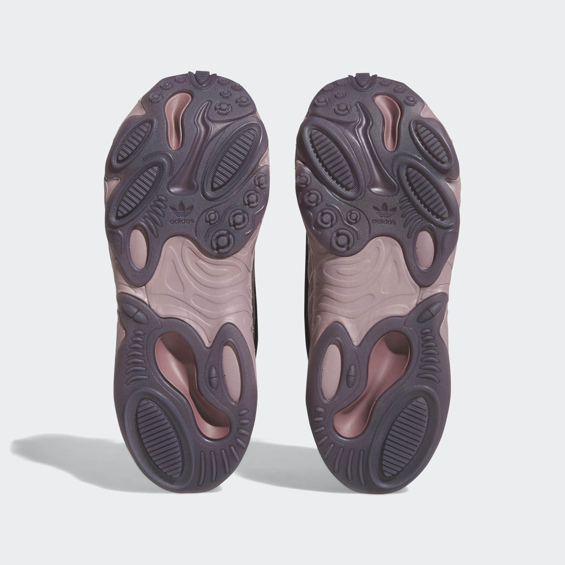 OZNOVA Shoes