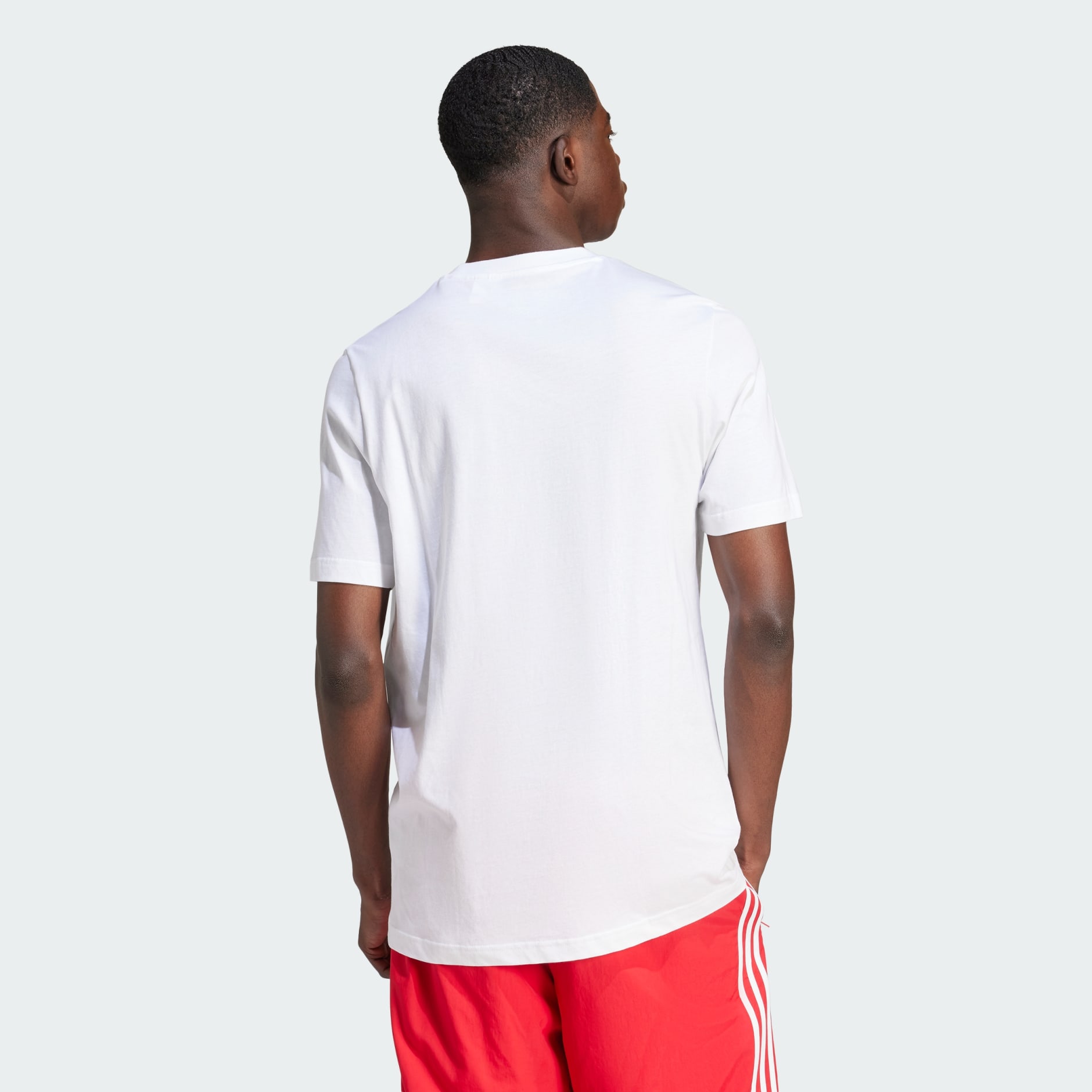 FEF DNA GR TEE