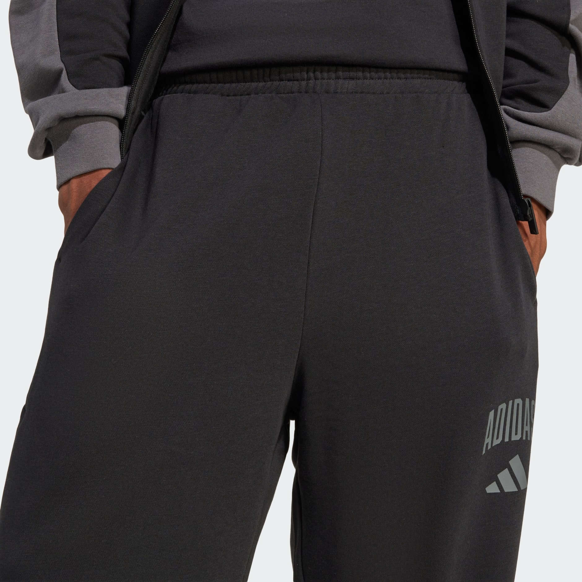 COLLEGIATE FRENCH TERRY PANTS