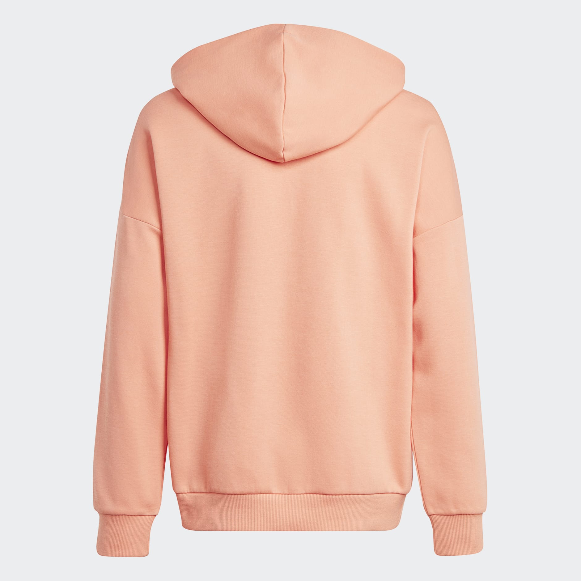 Future Icons Logo Hooded Sweatshirt