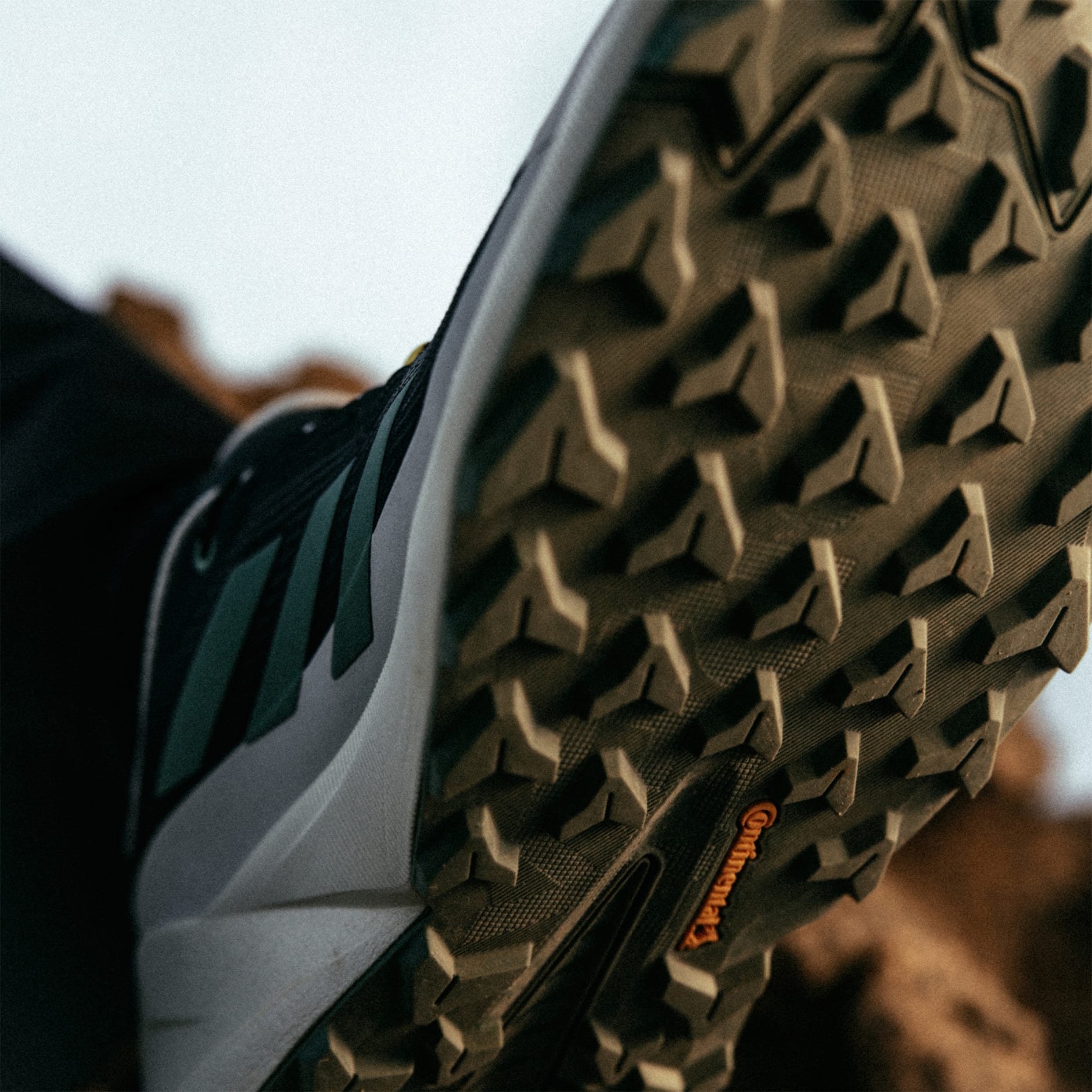 ADIDAS NATIONAL GEOGRAPHIC TERREX TRAILMAKER 2 GORE-TEX HIKING SHOES