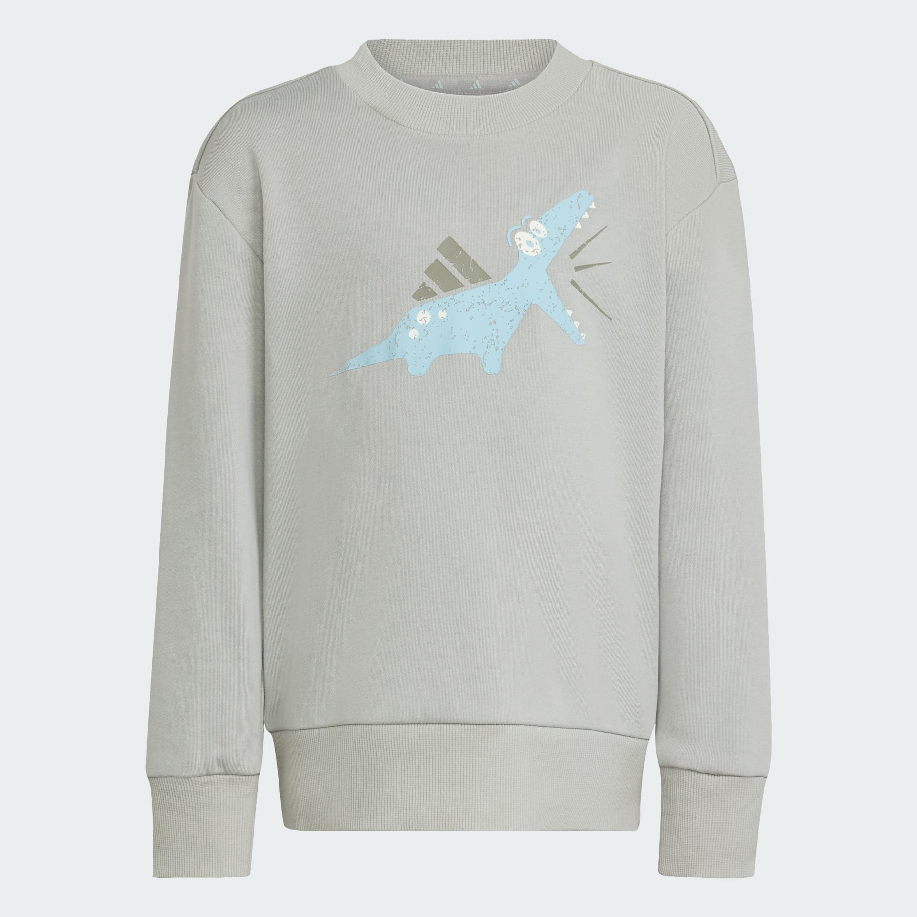 當季必備 Adiraptor 絨毛跑步休閒童裝褲套裝