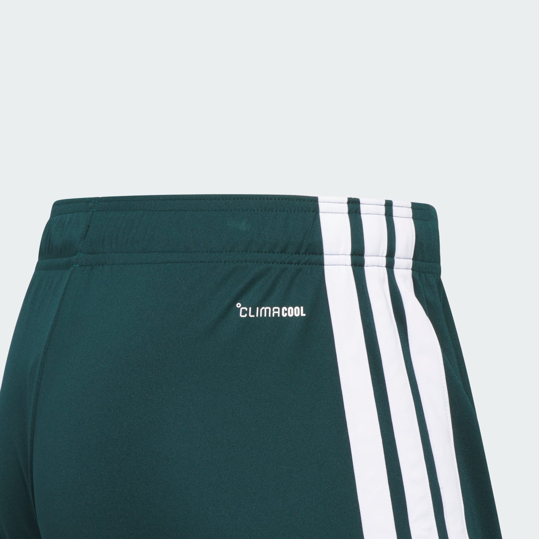 Saudi Arabia 26 Home Shorts