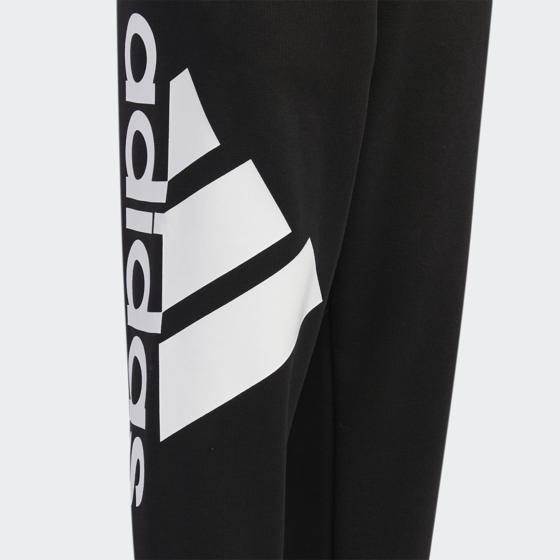 Badge of Sport Logo Pants