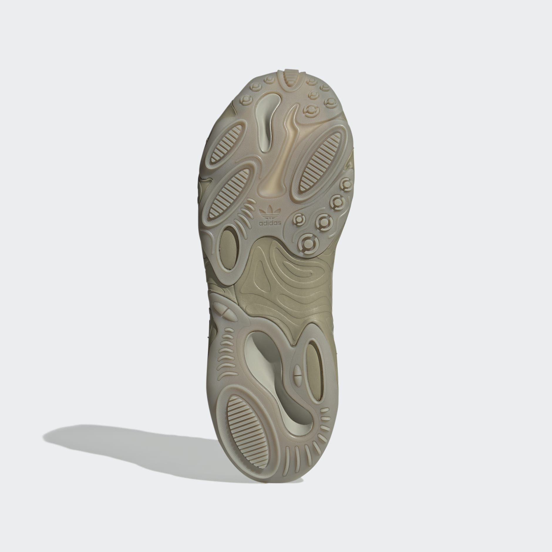Oznova Shoes