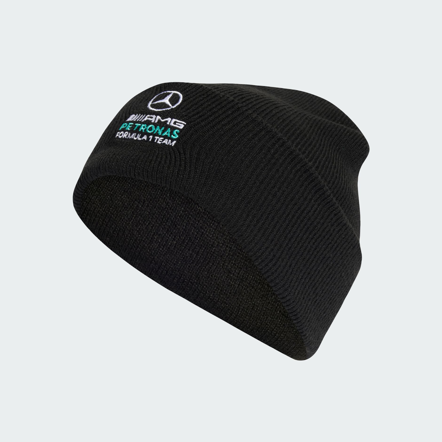 CĂCIULĂ MERCEDES - AMG PETRONAS FORMULA 1 TEAM DNA