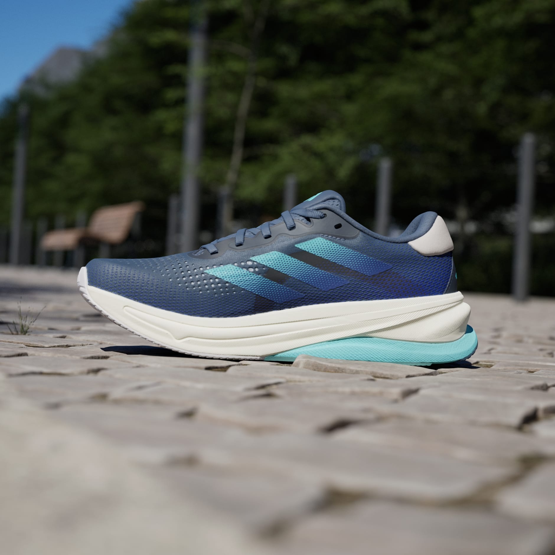 Supernova Solution Running Shoes