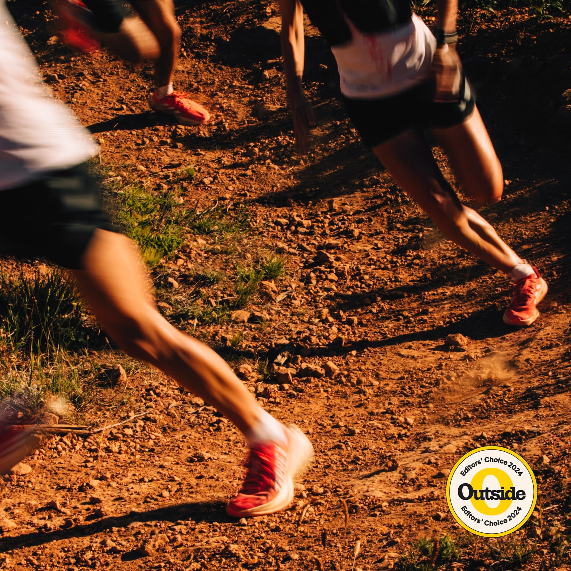 Tenis Terrex Agravic Speed Ultra Trail Running