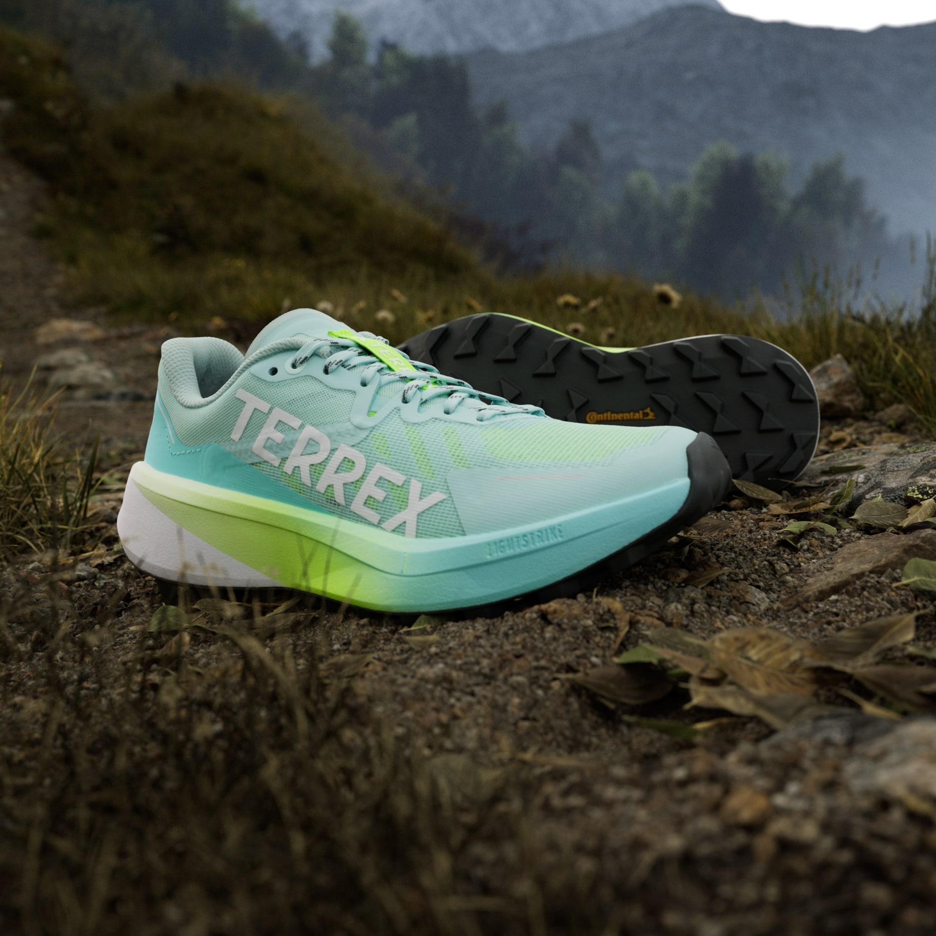 Tenisice za trail trčanje Terrex Agravic 3 