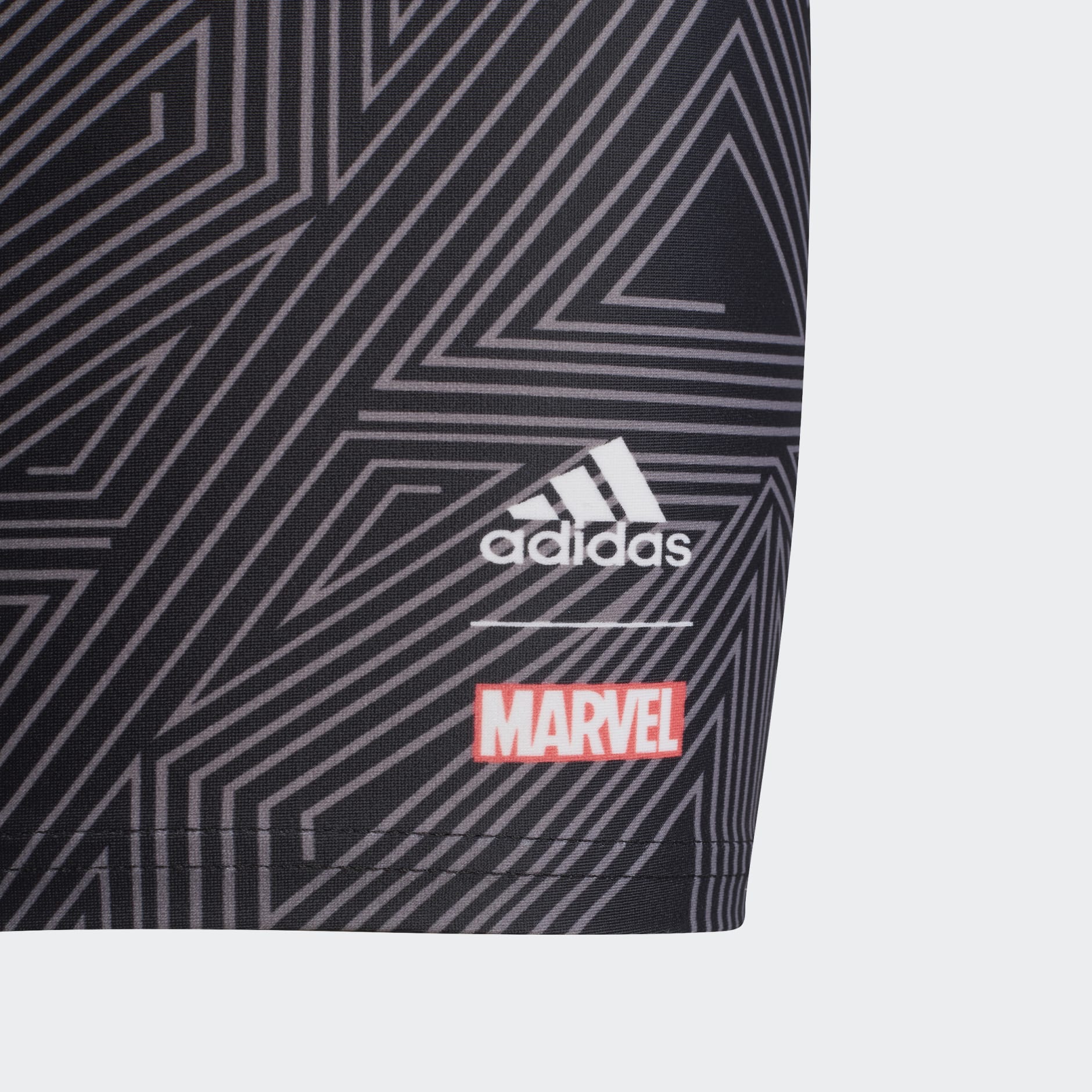Marvel Black Panther Swim Briefs