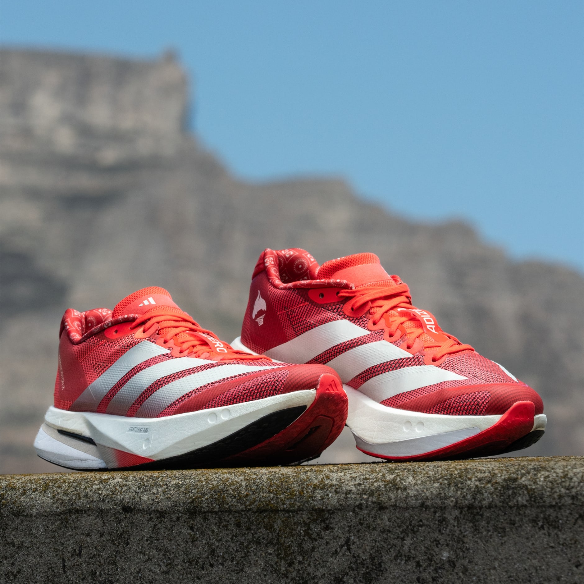 Shoes - Adizero Boston 13 Shoes Sanlam Cape Town Marathon - Red