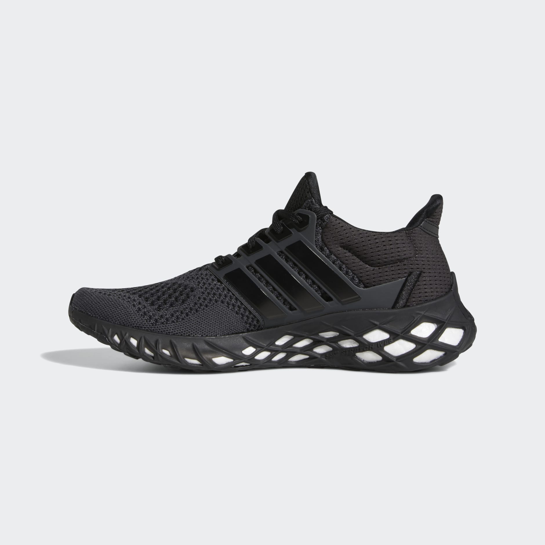 Ultraboost Web DNA Shoes