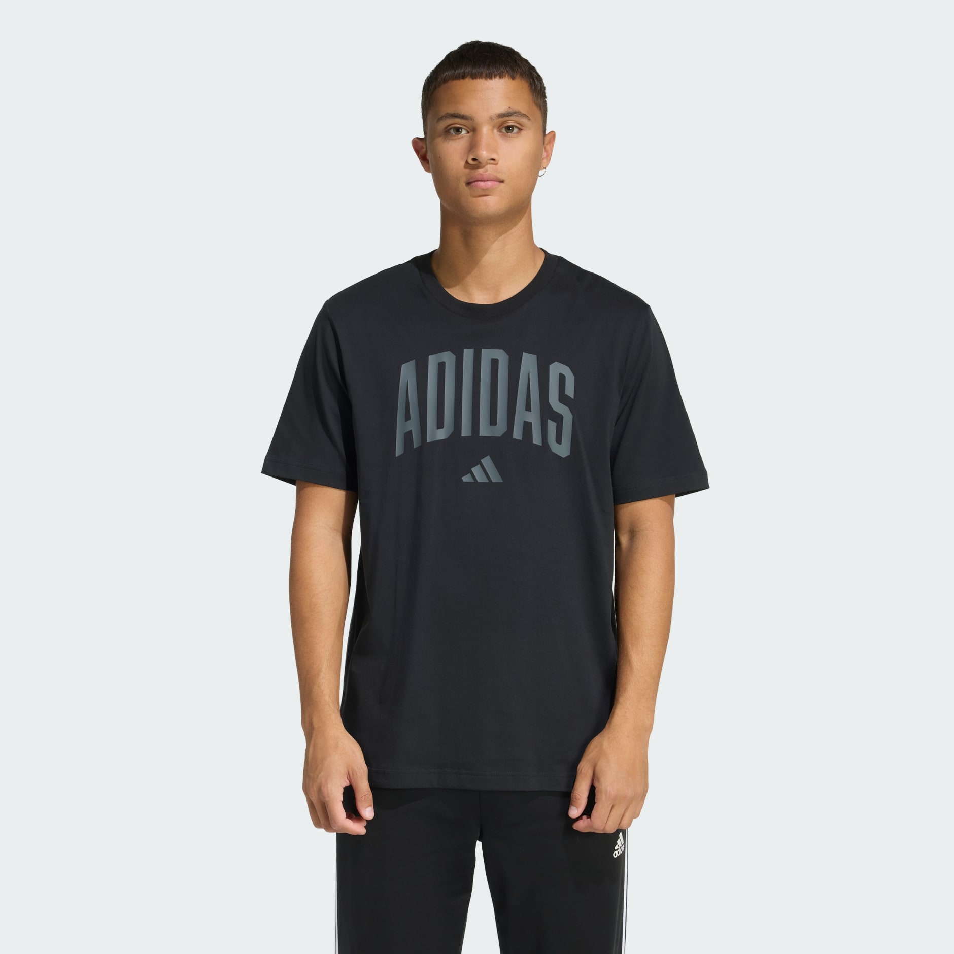 Collegiate Lineage Graphic Tee