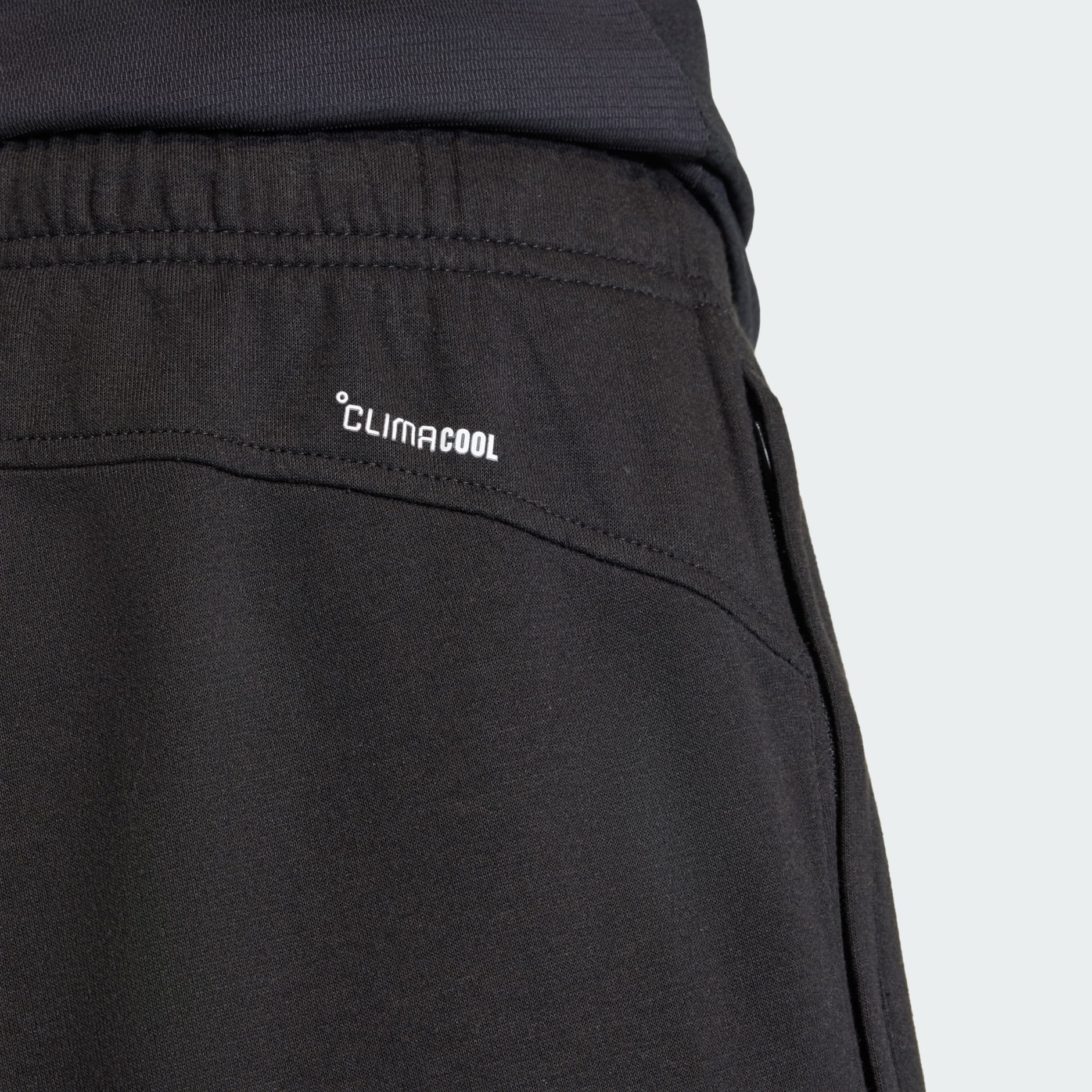 WORKOUT ESSENTIALS FEELREADY PANT