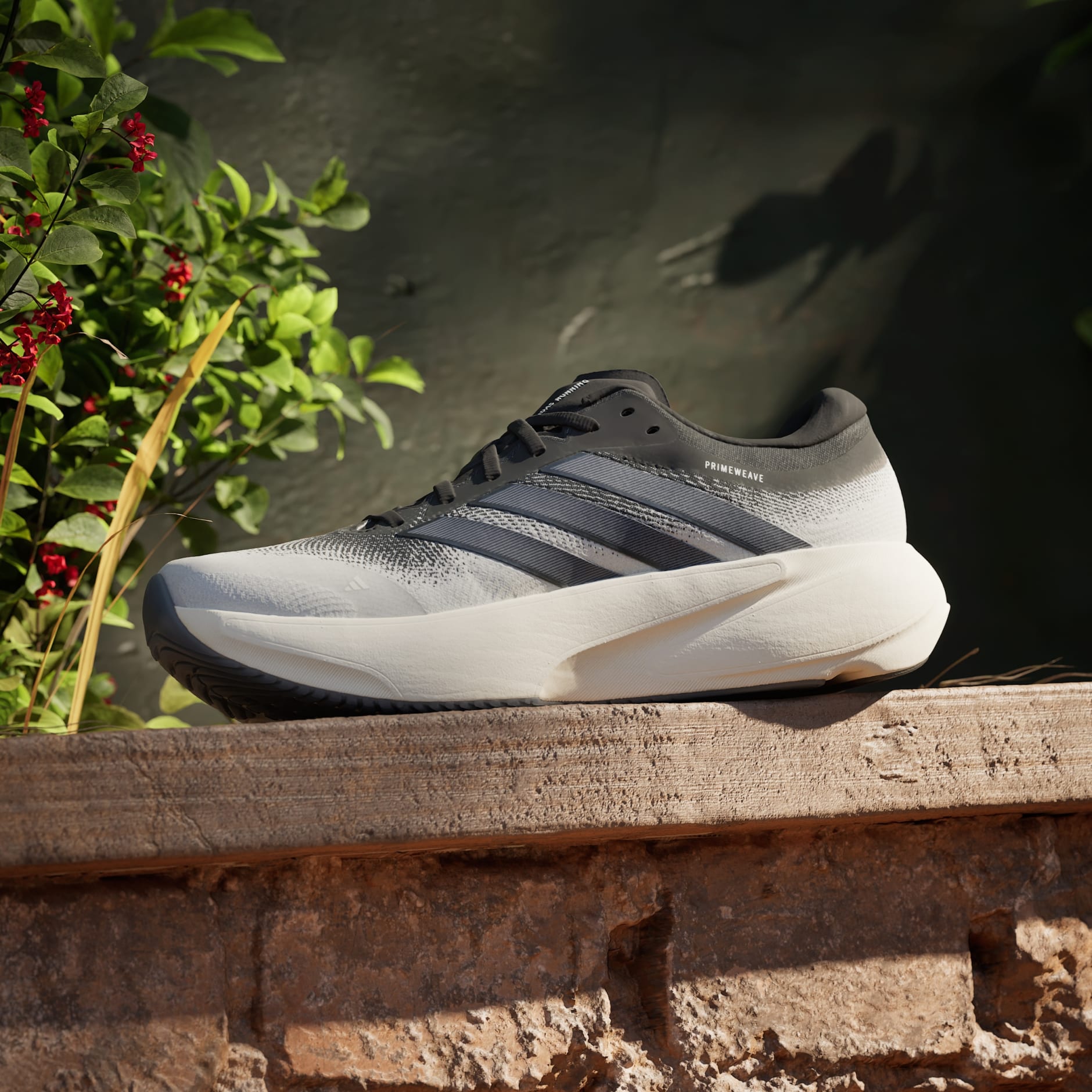 CHAUSSURE DE RUNNING SUPERNOVA RISE&nbsp;3