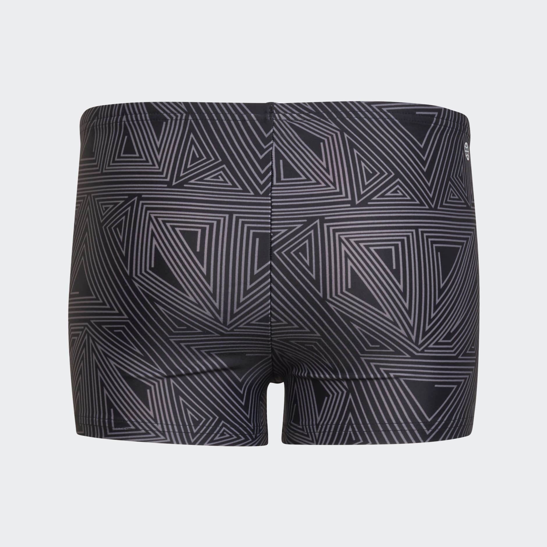 Marvel Black Panther Swim Briefs
