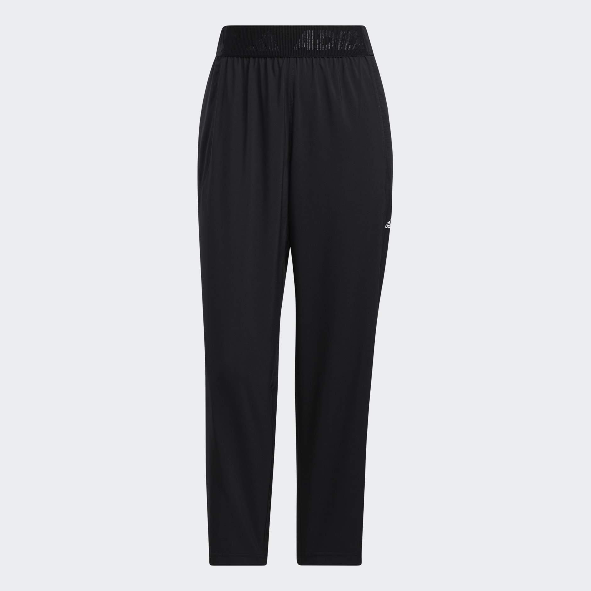 Branded Elastic Pants