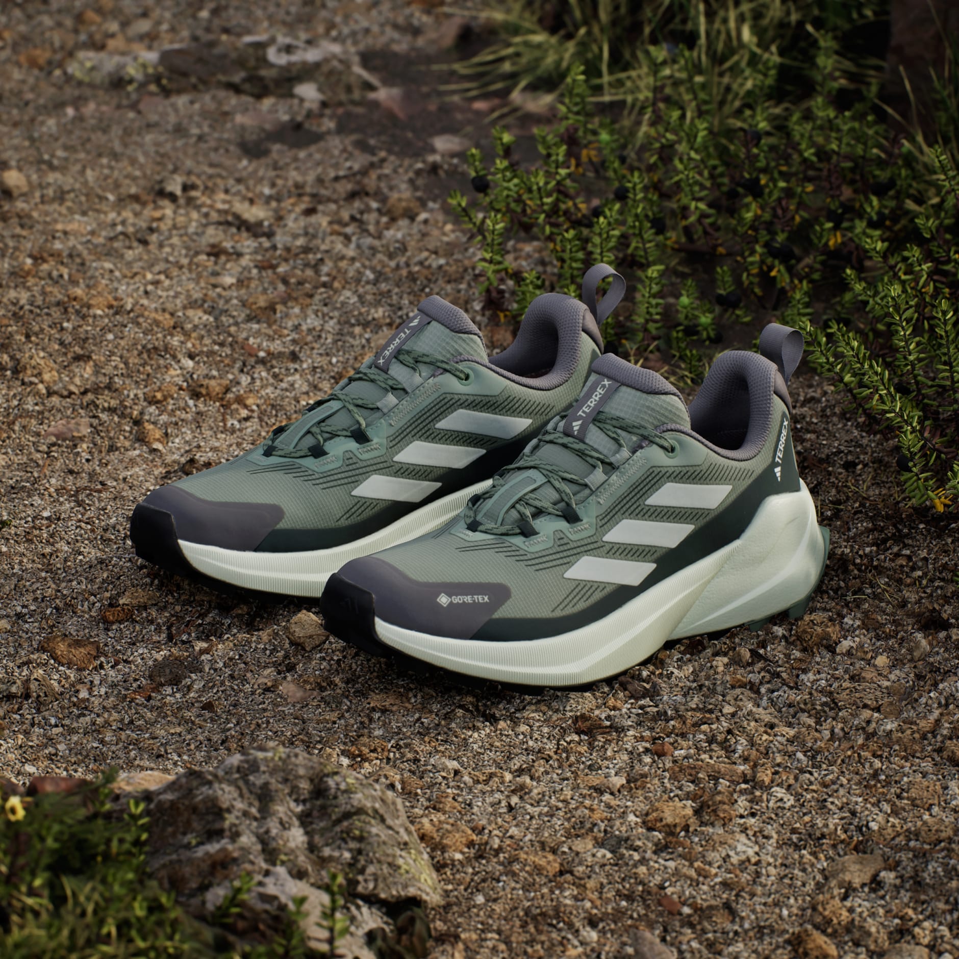 Pantofi de drumeție Terrex Trailmaker 2.0 GORE-TEX