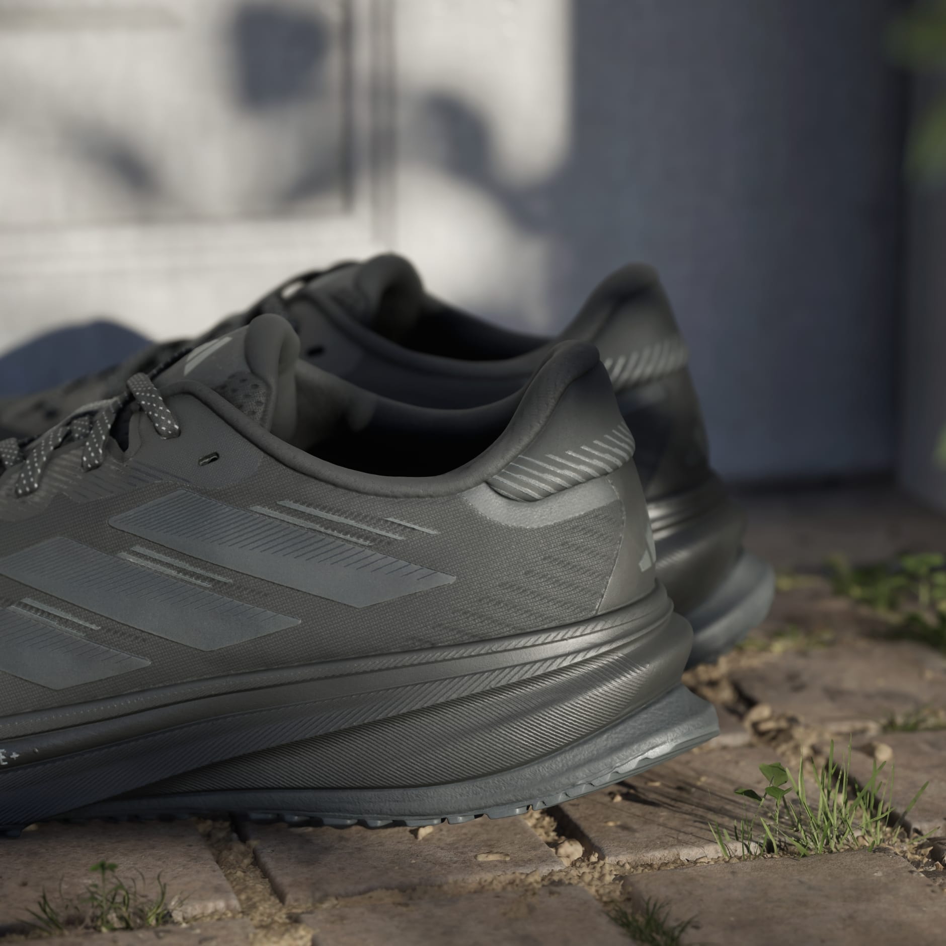 Supernova Rise GTX Running Shoes