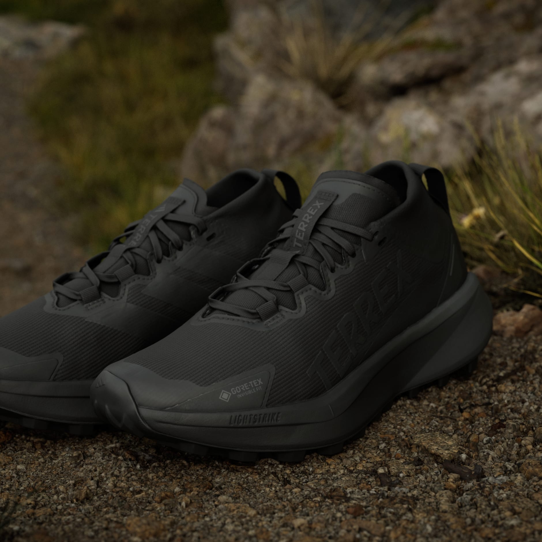 Pantofi de alergat pe trasee Terrex Agravic GTX