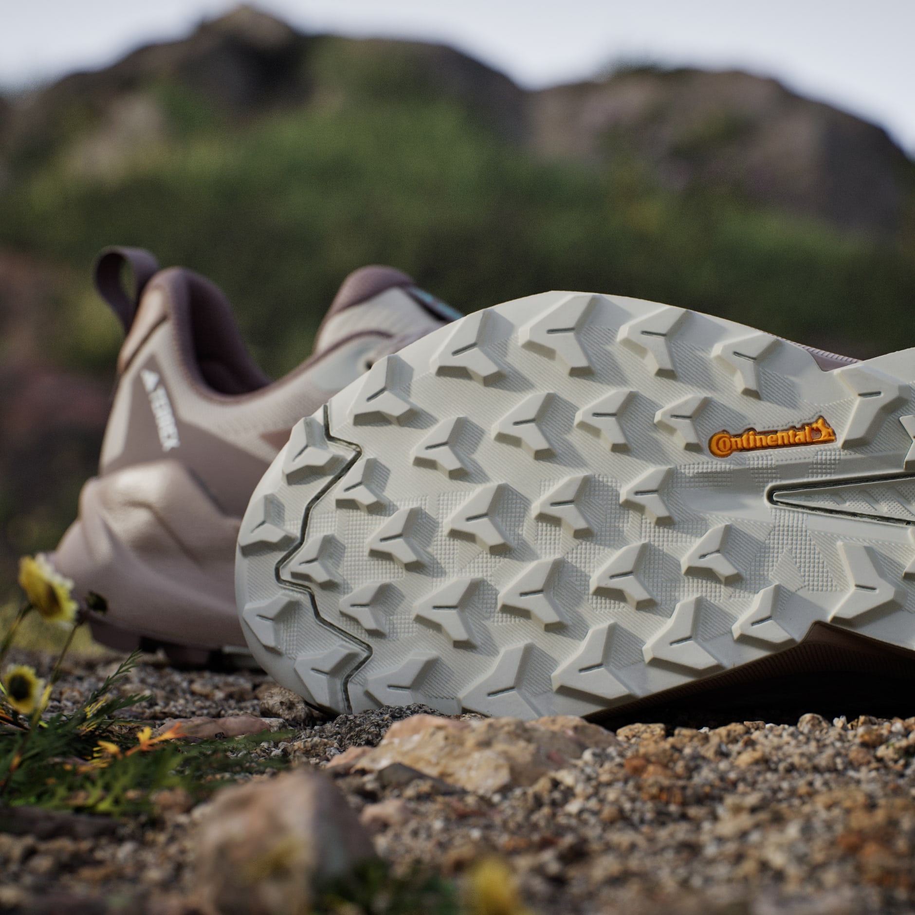 Pantofi de drumeție Terrex Trailmaker 2.0