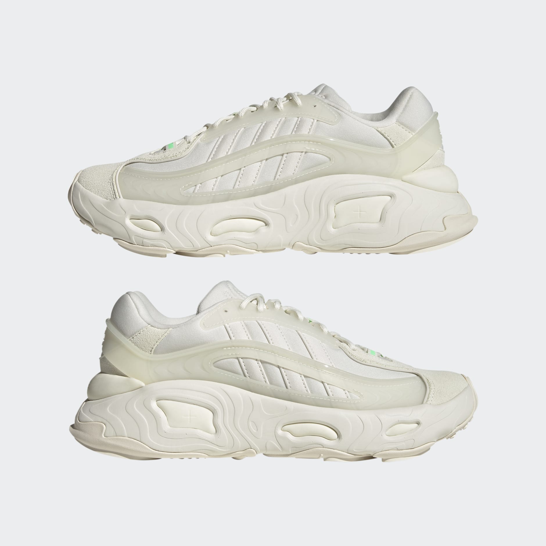 OZNOVA Shoes