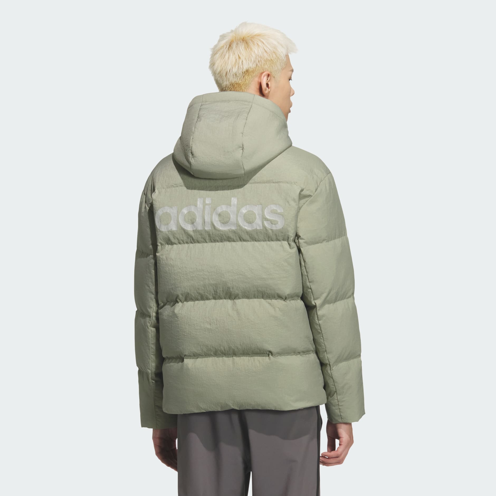 Linear Regular 羽絨