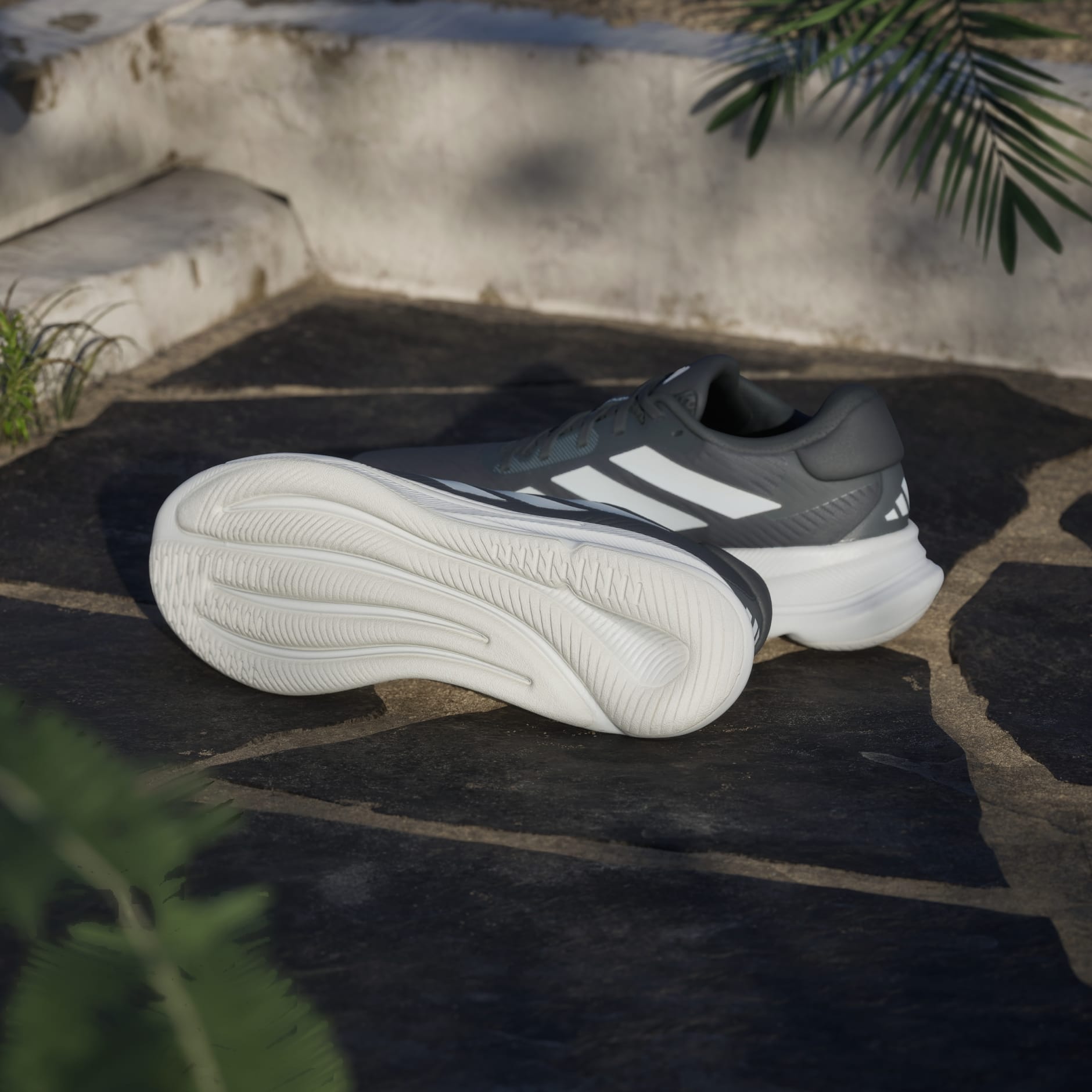 Tenis Supernova Ease