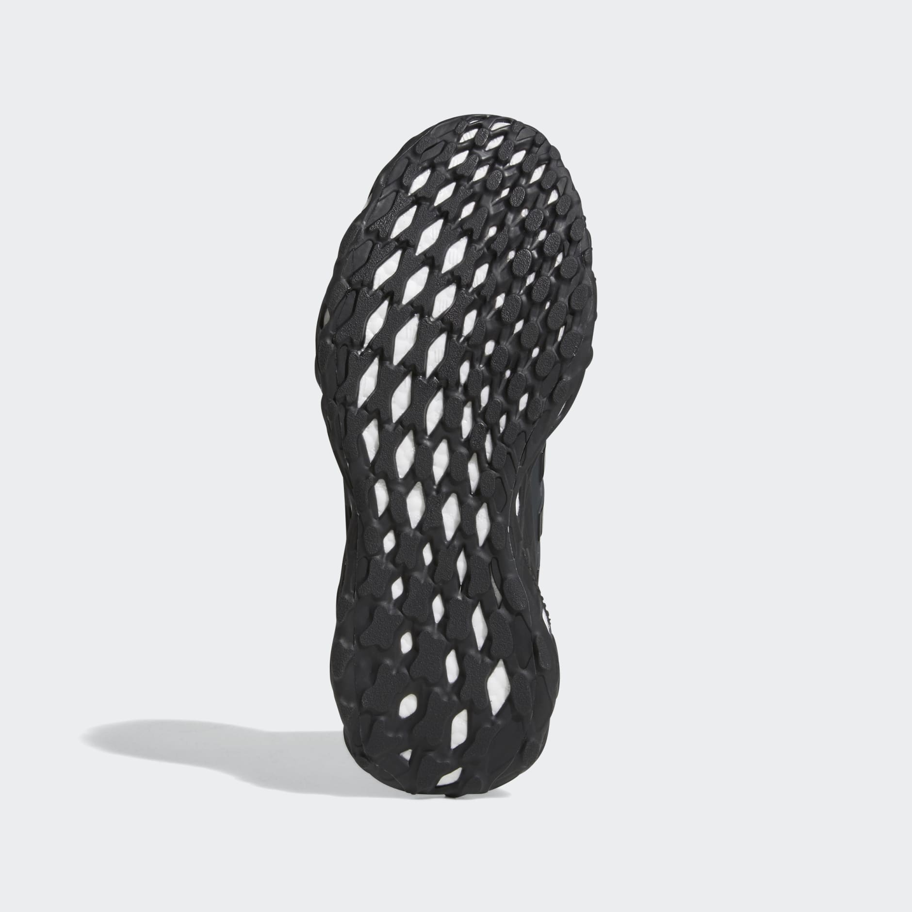 Ultraboost Web DNA Shoes