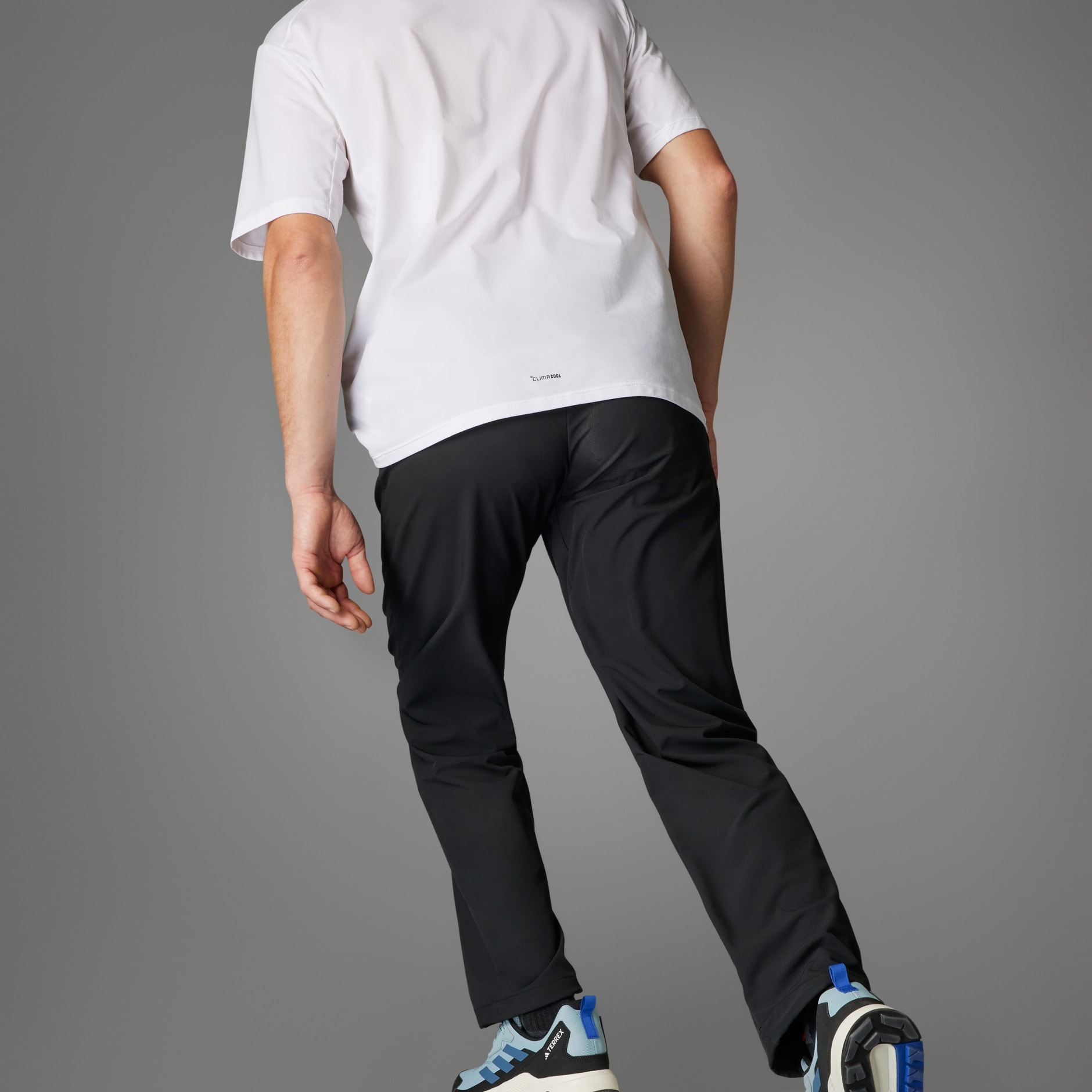 Terrex Multi Liteflex Pants