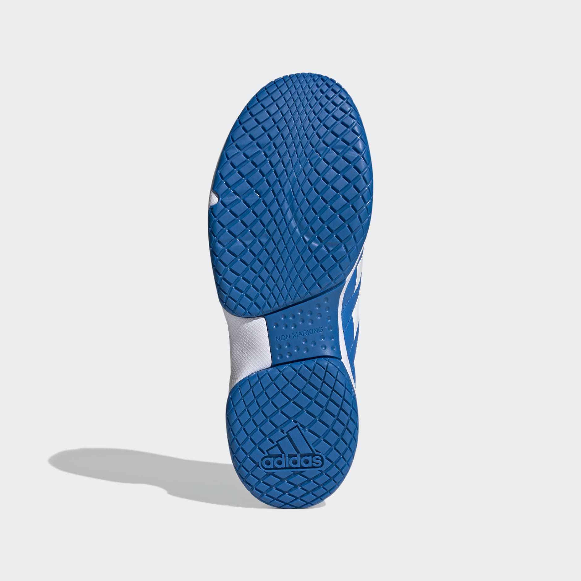 Ligra 7 Indoor Shoes