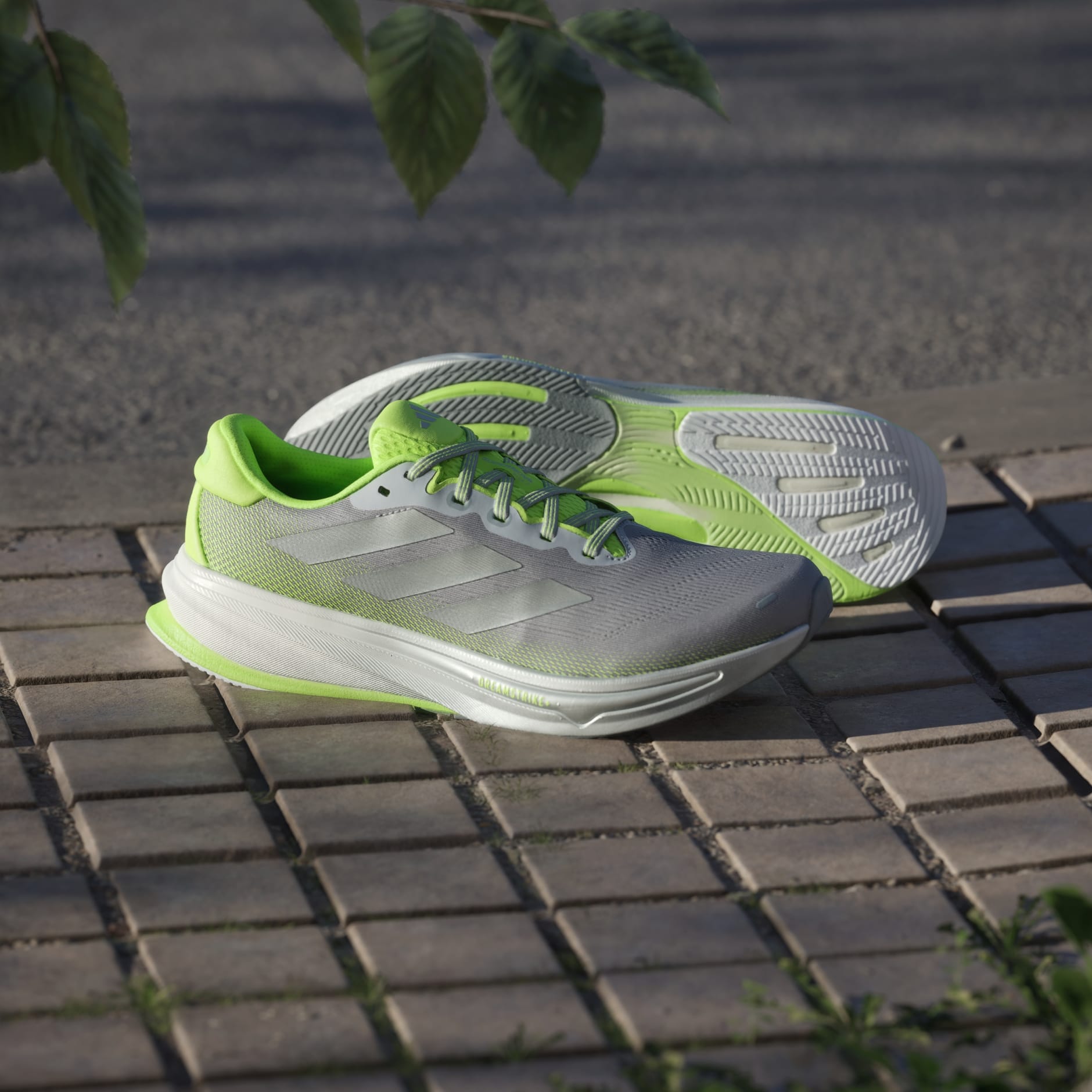 Pantofi de alergare Supernova Rise 2