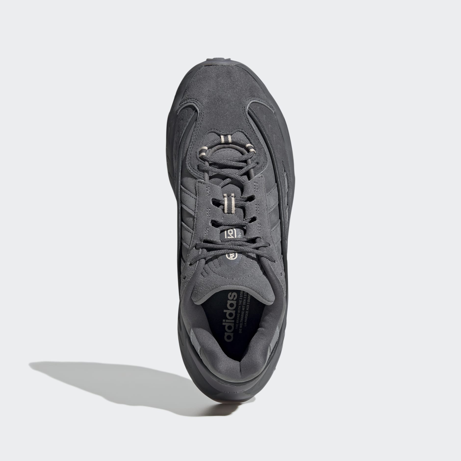 OZNOVA Shoes