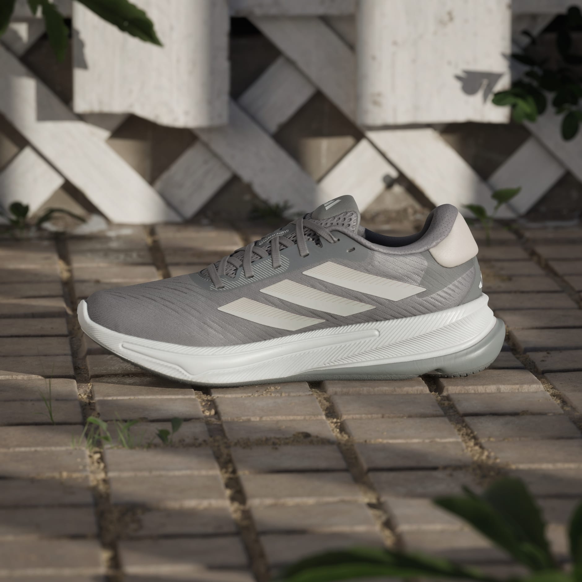 Supernova Ease Shoes