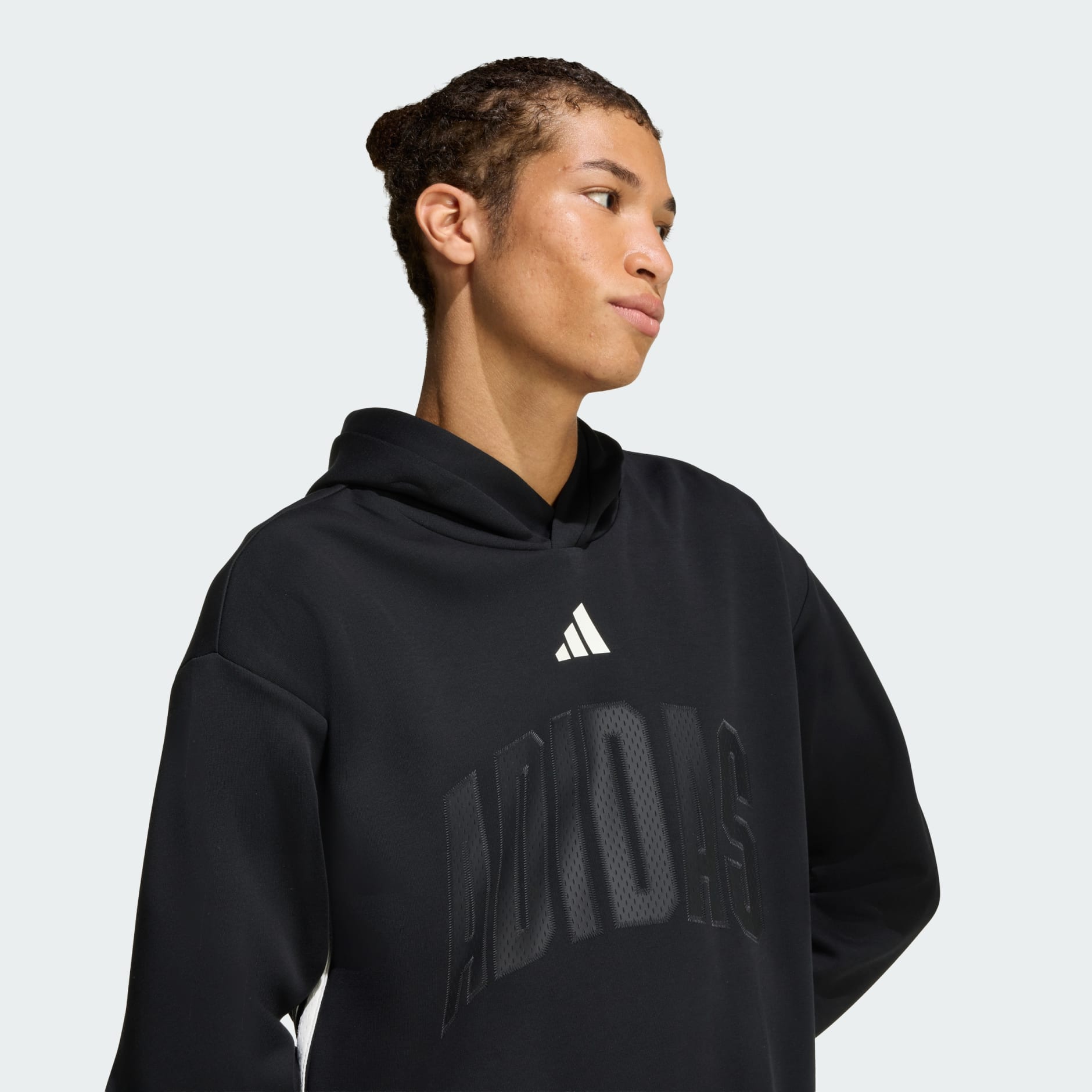 HANORAC STADIUM GRAPHIC