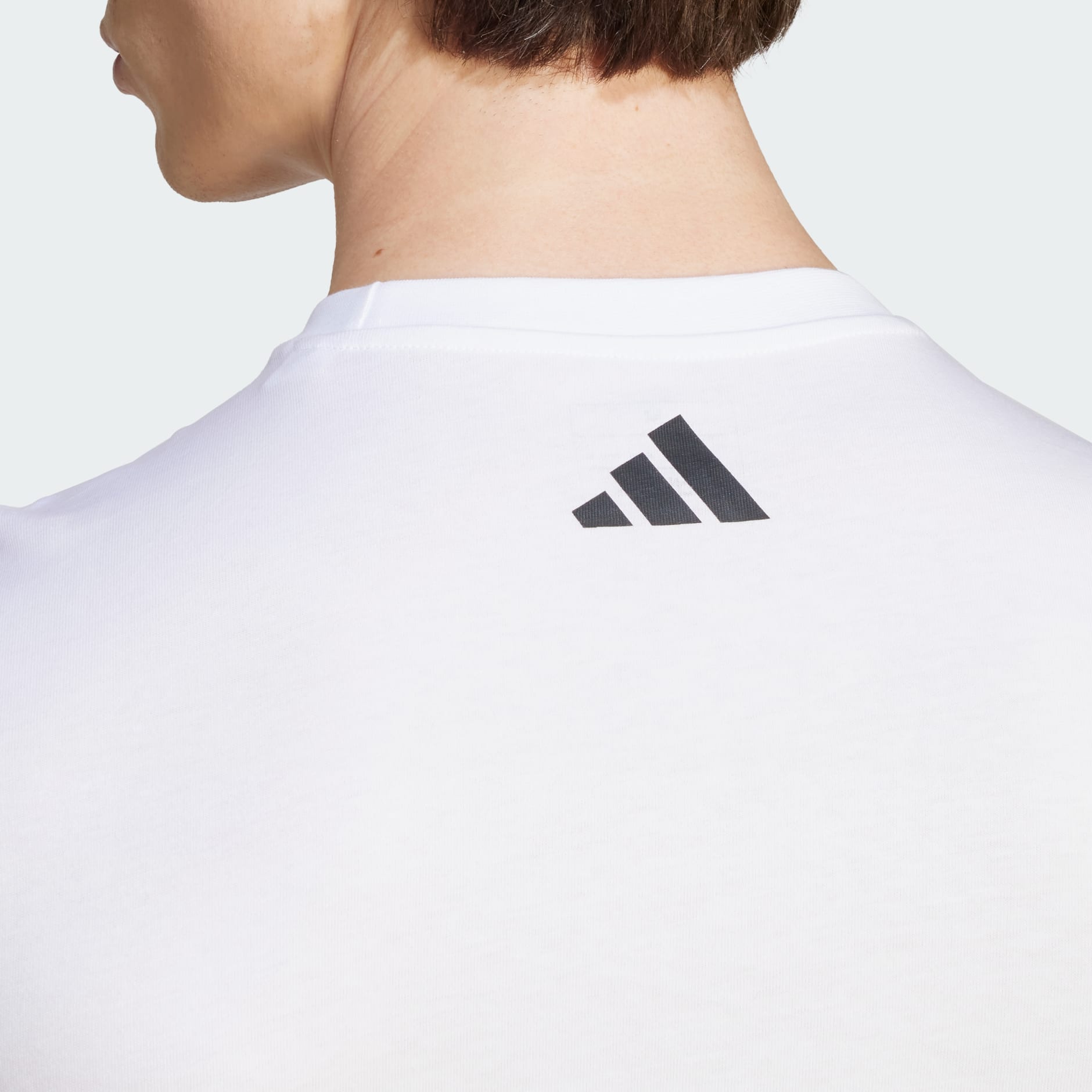 adidas Rugby Tryomphe Graphic Tee - White | adidas LK