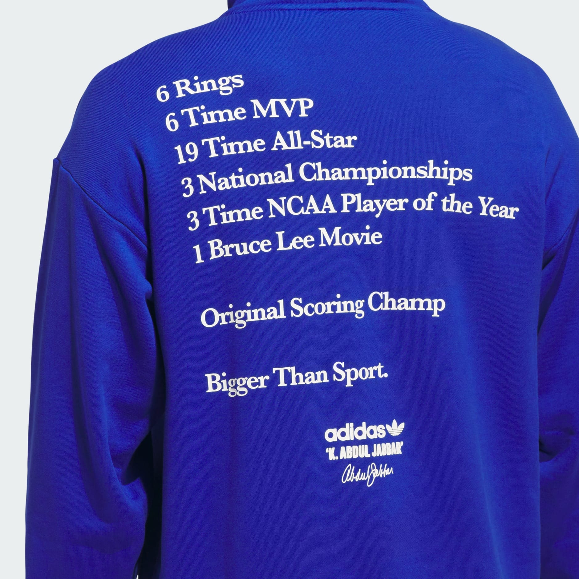 Jabbar Accolades Hoodie (Gender Neutral)