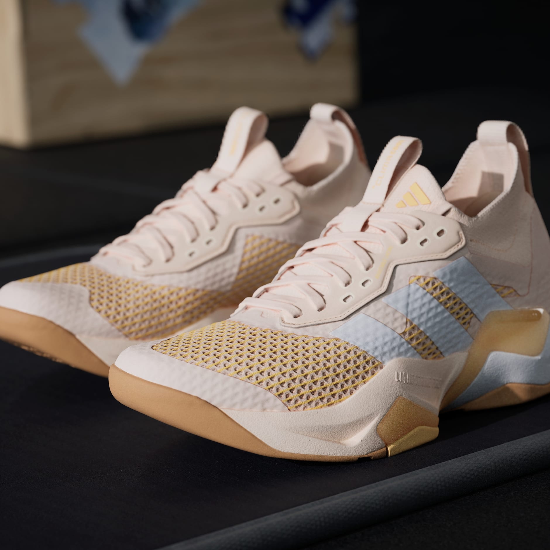 Rapidmove ADV 2 Training Shoes